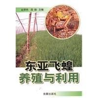 locust breeding and use (for the cold outside the region)