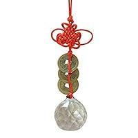 Indian Money Collection Feng Shui Vastu Fengshui Yantra Gifft Idols & Figurines Crystal Feng Shui Lucky Coins with Crystal Ball Hanging Lucky Charm, Standard by Indian Collectible