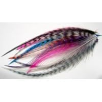 10 Real Feather Mix Color Hair Extension 4