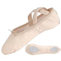Danshuz Girl's Canvas Stretch Ballet Shoes