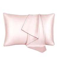 22 Momme 100% Pure Mulberry Natural Soft Both Sides Silk Pillowcase for Hair and Skin Hidden Zipper Silk Pillow Case (22 Momme 1 Pack Queen, Dusty Rose)