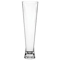 Carlisle FoodService Products Alibi Pilsner Glass for Restaurants, Catering, Kitchens, Plastic, 16 Ounces, Clear, (Pack of 24)