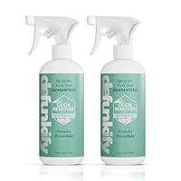 Defunkify Odor Remover Spray | Good as Linen Spray, Shoe Deodorizer, Pet Odor Eliminator | with Ionic Silver & Pure Essential Oil Scent | 32 fl oz (2-Pack of 16 fl oz bottles) (Peppermint)