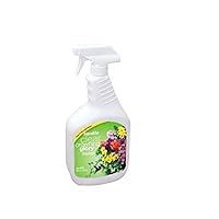 Crowning Glory - Two 32oz spray bottles