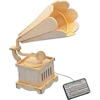 Solar Powered Wooden Gramophone with Music Educational Kit by EX ELECTRONIX EXPRESS