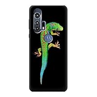 R0125 Green Madagascan Gecko Case Cover for Motorola Edge+
