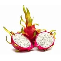 Fresh Dragon Fruit (Set of 6) by Tropical Importers