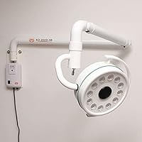 LED 36W Wall Hanging Surgical Medical Examination Shadowless Lamp Cold Light Dental ENT Surgery Veterinary PET Tattoo