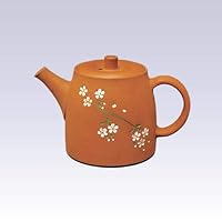 Tokoname Kyusu teapot - SEIHOU - Sakura Orange - 140cc/ml - Detailed Steel net with Wooden Box [Standard Ship by EMS: with Tracking Number & Insurance]