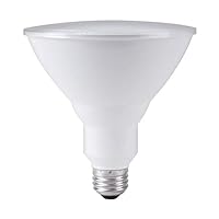 GE Basic 90-Watt EQ Par38 Daylight LED Light Bulb (2-Pack)