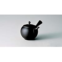 Tokoname kyusu - KOJI IWASE (270cc/ml) ceramic mesh - Japanese teapot [Standard ship by EMS (Expedited): with Tracking & Insurance]
