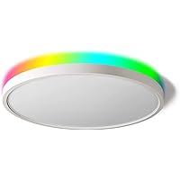 TALOYA 18 Inch Flush Mount Light Fixture Led,Compatible with Alexa Google Assistant Smart Life App,Sleek Round Ceiling Fixture,36+4W Main Light and RGB Night Light Adjustable,Enabled by 2.4G Wi-Fi