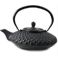 Cast Iron Teapot Mochi Black 20 Oz Japanese Style