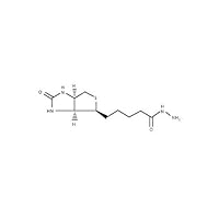 40200044-1 Biotin LC Hydrazide, 100 mg