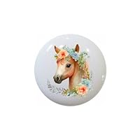 Watercolor Spring Baby Animals by DC DECORATIVE Ceramic Dresser Drawer PULLS Cabinet Cupboard KNOBS (0008 Foal)