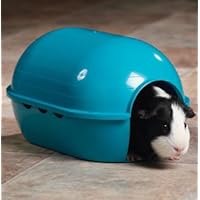 Lixit Igloos and Hideaways for Guinea Pigs, Rats, Mice, Hamsters, Gerbils and Other Small Animals (Assorted, Medium)