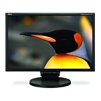 NEC LCD205WNXM-BK 20-Inch Wide LCD with USB DVI Speaker (Black)