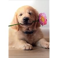 Golden Puppy With Pink Flower in Mouth Cute Dog Mother's Day Card