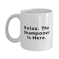 Unique Idea Shampooer Gifts, Relax. The Shampooer Is Here, Epic 11oz 15oz Mug For Men Women, Cup From Friends, Team leader gifts ideas, What to get team leader for gift, Best gifts for team leaders,