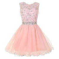 Women's Jewel Neck Lace Appliques Cocktail Dress with Crystal Beads Tulle Homecoming Dress