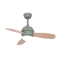 Ceiling Fan with Lights,Solid Ceiling Fan Light with Remote Control Led Dimming Fan Light Living Room Bedroom Dining Room Ceiling Fan Light Led Chandelier/Green/36Inch