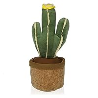 SUJETAPUERTAS Cactus