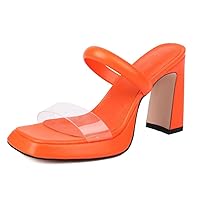 Platform Heel Mules Chunky Heel Slides for Women Double Strap Clear Sandals