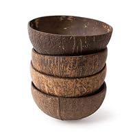 Green Roots Organic Coconut Bowls-Hand Made From Coconut Shells and Polished with Organic Coconut Oil (4 bowls)