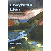 Llwybrau Llen (Welsh Edition) Llwybrau Llen (Welsh Edition) Paperback
