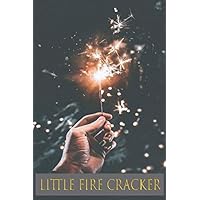 Little Fire Cracker: 4th of july sparklers , firework fuse ,wedding sparkles,diwali firecrackers,fireworks sticks,party,birthday, notebook , journal
