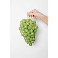 Green Grapes Journal, Bundle of Grapes White Background Journal, Grapes Notebook, Diary, 120 Lined Pages