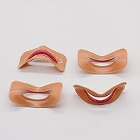 Dental Aesthetics Lip Test Car Porcelain Dental Examination Clinical Aesthetics Lip Side Oral Aesthetics Test Set of Four