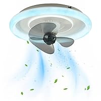 Modern Ceiling Fans with Lights Timing 3 Speeds Low Profile Fan with Remote Smart Dimmable Ceiling Fan Lighting Ceiling Fan for Bedroom,Kitchen,Kid's Room