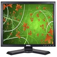 Dell P190ST Flat Panel 19 Inch LCD Monitor