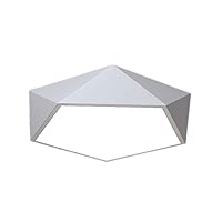 24W/36W Stepless Dimming LED Ceiling Light Creative Geometric Lines Acrylic Ceiling Light Simple Living Room Floodlight ≥80Ra Restore True Color Eye Protection Light Children's Room Lamp Durabl