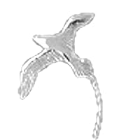 14K White Gold Bermuda Longtail Bird Pendant
