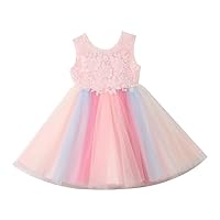 Girls Flower Lace Bridesmaid Dress Tulle Princess Wedding Party Evening Gown Formal Dresses Pink