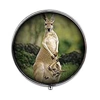 Cute Animal Kangaroo Pill Box - Charm Pill Box - Glass Candy Box Art Photo Jewelry Birthday Festival Gift Beautiful Gift