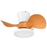 BOLICH 22-Inch Large Air Volume Quiet Ceiling Fan with LED Light, Remote Control, Ideal for Kitchen Bedroom Dining Room Patio (Oak)