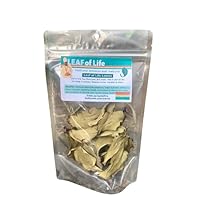200 Dried Leaves Kalanchoe Pinnata Leaf of Life (Bryophyllum Pinnatum) Tea Hearbal Healthy 50 grams 1 count