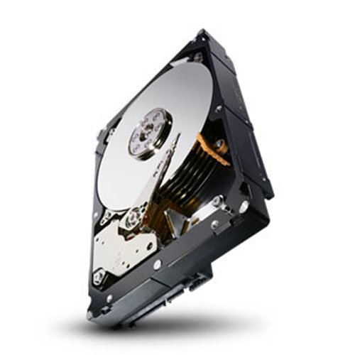 Seagate 4TB Enterprise Capacity HDD 7200RPM SATA 6Gbps 128 MB Cache Internal Bare Drive (ST4000NM0033)