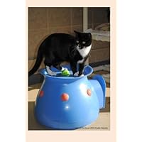 Soho on the house 2016 Weekly Calendar: 2016 weekly engagement calendar with a cover photo of Soho on a cat house at Ralphie's Retreat - A pawsitive ... feline leukemia. (Cats of Ralphie's Retreat)