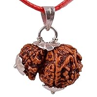 Natural Certified (with x-ray) Wood Rare Nepali Garbh Gauri Rudraksha Beads in Pure Silver Pendant