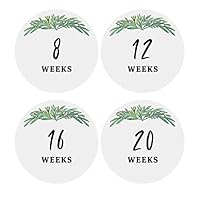 Baby Pregnancy Milestone Week Stickers 16 Pack 4 Inches Great Baby Gift Pregnancy Announcement