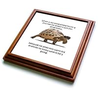 3dRose When A Tortoise Embarks On A Journey African Proverb - Trivets (trv-378375-1)