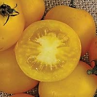 Yellow Perfection Cherry Tomato