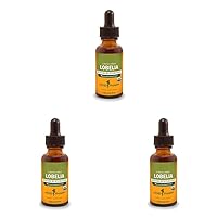 Herb Pharm Certified Organic Lobelia Liquid Extract for Musculoskeletal System Support - 1 Ounce (DLOBEL01) (Pack of 3)