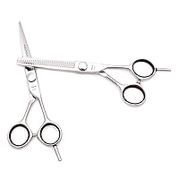 Professional Hair Cutting Scissors Set with Cutting Scissors,Thinning Scissors, Comb, Leather Bags for Barber, Salon, Home,6.0Inch