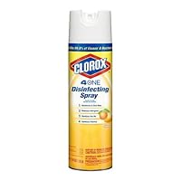 Clorox Company 31133 Disinfectant Spray, 19-Ounce, Citrus