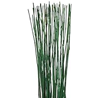 Green Natural Thin Decorative Bamboo Sticks About 6 Feet Tall - Pack of 20
